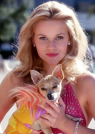 Reese: La fiera delle vanita? No, grazie!