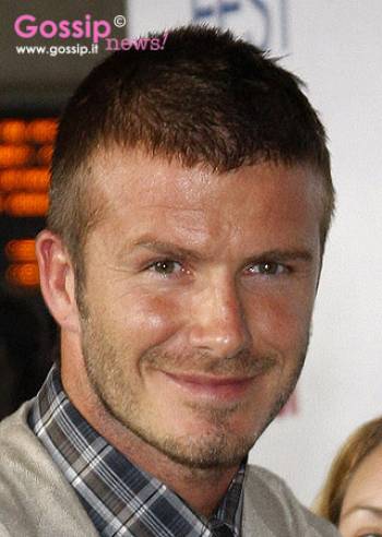 David presidente, Tom azionista