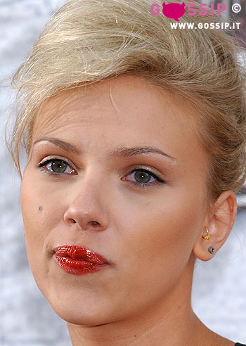 Scarlett: un castoro al posto del velo?