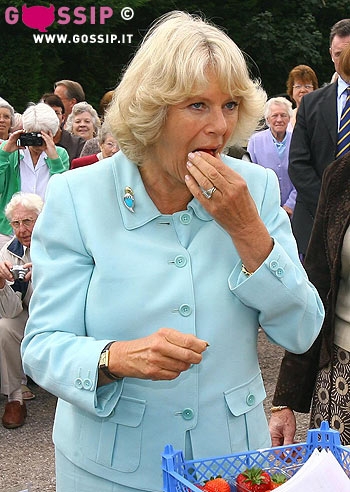 Carlo e Camilla? Un spesa 'Reale'