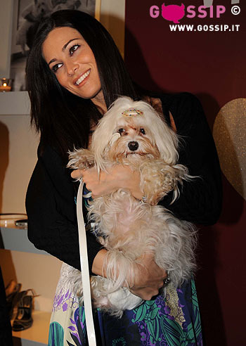 Vic Matiè: una linea da cani