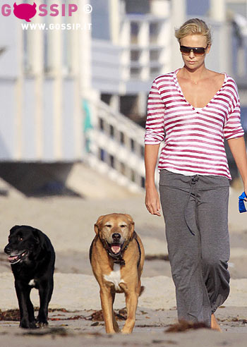 Theron al mare con i cani