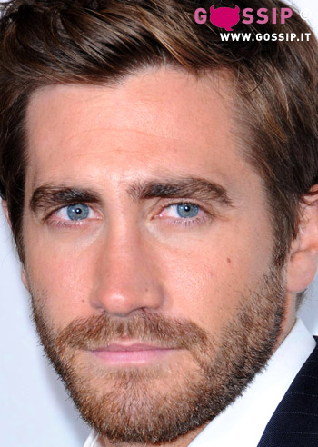 Jake Gyllenhaal in flirt con Taylor Swift?