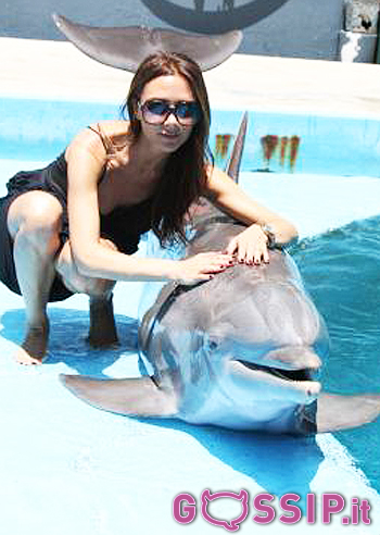 Vic Beckham, felice con un delfino Vic Beckham, felice con un delfino