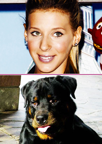 Giulia Calcaterra, la velina bionda nella bufera Giulia Calcaterra, la velina bionda nella bufera