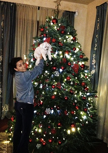 E' già Natale per Eva Longoria