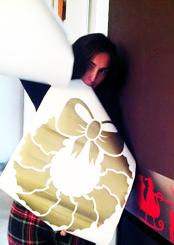 Gli addobbi natalizi di Caterina Balivo