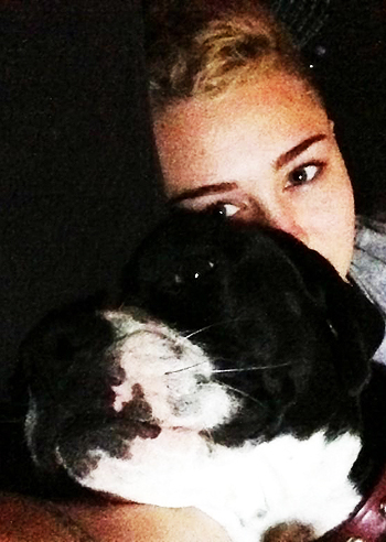 Miley Cyrus, quanti cani!