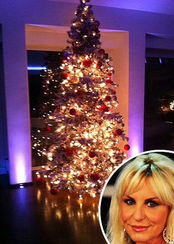 L'albero social di Antonella Clerici