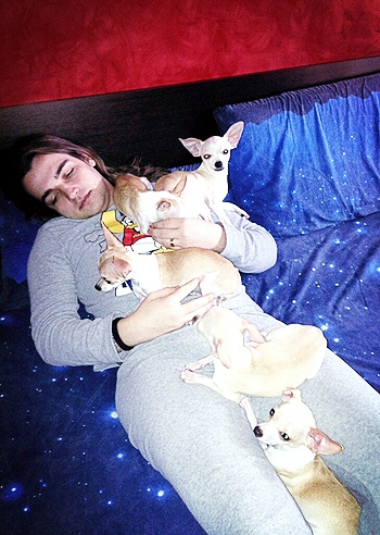 Valerio Scanu a letto con i chihuahua