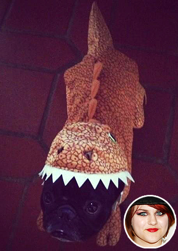 Frances Cobain, è morto Zio Fester