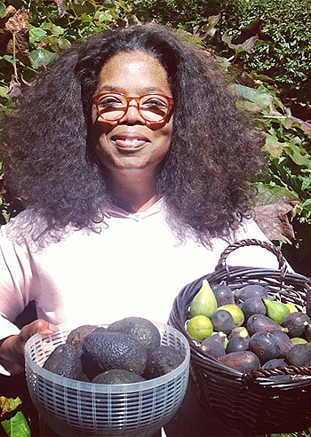 Oprah Winfrey e le primizie del giorno