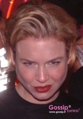 Che pasticcio Renee Zellweger! Che pasticcio Renee Zellweger!