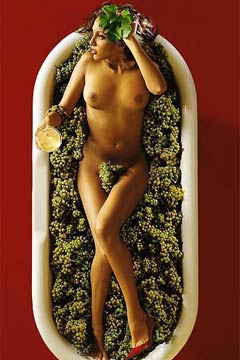 Il Calendario delle casalinghe per brindare al 2004