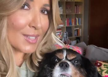 Lucarelli, ecco come è morto Godzilla