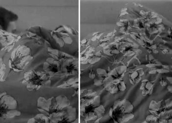 Antonino Spinalbese e Oriana Marzoli sotto le coperte fanno sul serio: gemiti di piacere inequivocabili