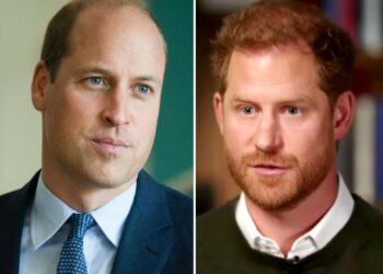 ''William mi ha aggredito gettandomi a terra'': il Principe Harry rivela un episodio gravissimo e rompe per sempre col fratello maggiore