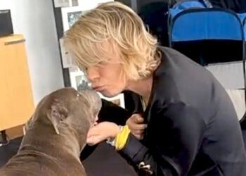 Maria De Filippi dolcissima con il cane Saki dopo la morte di Costanzo: le tenerissime immagini