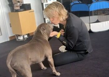 Maria De Filippi dolcissima con il cane Saki