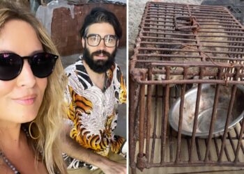 Selvaggia Lucarelli trova cani e gatti morti dai macellai al mercato: ''Me lo sogno la notte''