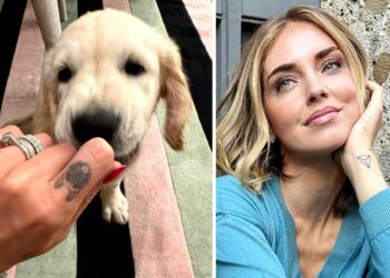 ''Credevo che ci avrei pensato di meno'': Chiara Ferragni rivela che l’arrivo del nuovo cane ha acuito la malinconia