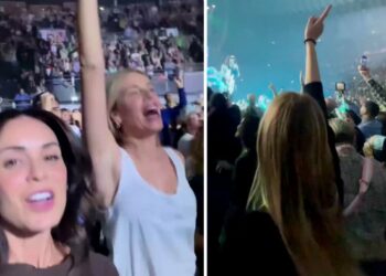 Alessia Marcuzzi single e scatenata con gli amici al concerto di Laura Pausini