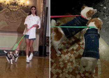 Cecilia Rodriguez sfila alla Milano Fashion Week con i suoi cani per il brand di accessori per animali domestici: guarda
