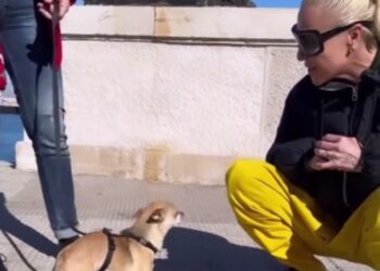 Paola Barale va a Bari per adottare una cagnolina sfortunata