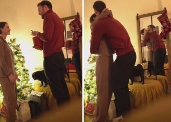 Il momento esatto in cui Rosalinda Cannavò ha rivelato ad Andrea Zenga che avrebbero avuto un figlio: le dolci immagini