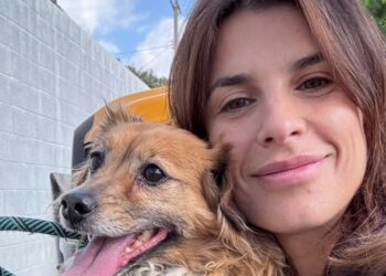 Elisabetta Canalis ha adottato un cane anziano dal canile di Los Angeles