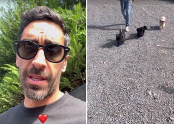 Filippo Magnini va a riprendere gli amati cani dopo la vacanza alle Maldive con Giorgia Palmas