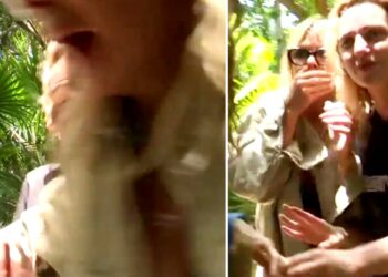 ''Eravamo a un centimetro, faceva così ed ero morta'': Matilde Brandi impazzisce alla vista di un serpente all'Isola dei Famosi