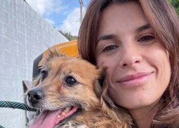 ''L'avevano abbandonato a 10 anni come una scarpa vecchia'': Elisabetta Canalis adotta un cane anziano a Los Angeles, le immagini