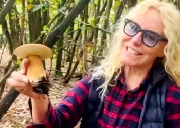 Antonella Clerici va a raccogliere i funghi e mostra il suo bottino