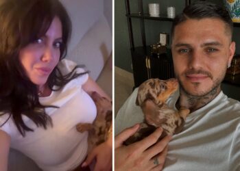 Mauro Icardi e Wanda Nara hanno preso un nuovo cane insieme