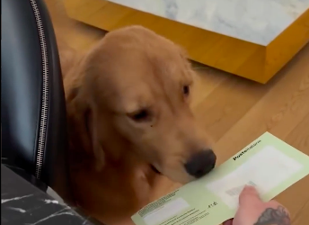 Fedez fa mangiare le querele al cane Silvio