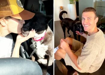 Elisabetta Canalis è diventata una foster mom