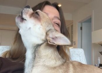 Jaqueline Luna Di Giacomo mostra gli ultimi momenti con il pancione prima di dare alla luce Enea