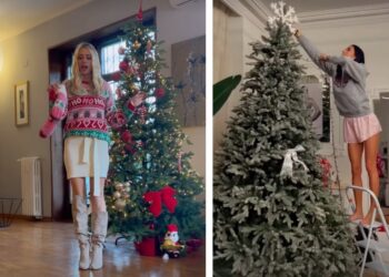 Alberi di Natale 2024: tantissimi vip lo hanno già fatto, le foto