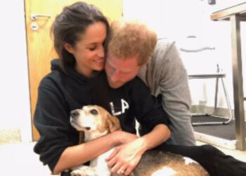 ''Ho pianto troppe lacrime per contarle'': Meghan Markle annuncia la morte del suo amato cane