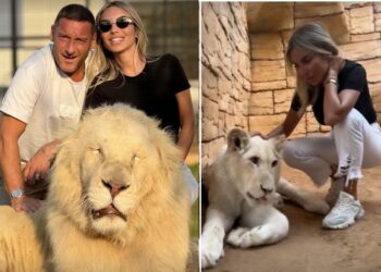 Francesco Totti e Noemi Bocchi a Dubai accarezzano i leoni
