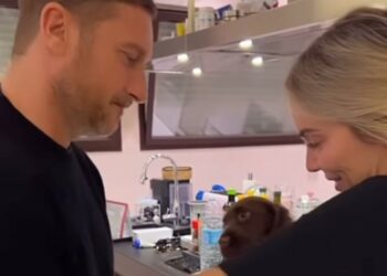 Francesco Totti e Noemi Bocchi coccolano il cane del loro amico