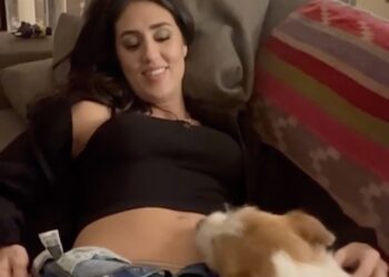 Cecilia Rodriguez si fa leccare il pancione dal cane