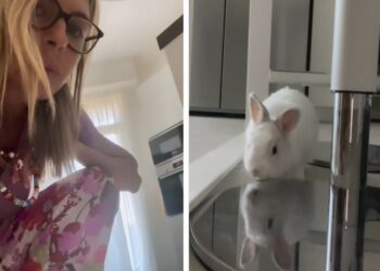 Martina Colombari mostra il suo dolcissimo coniglietto