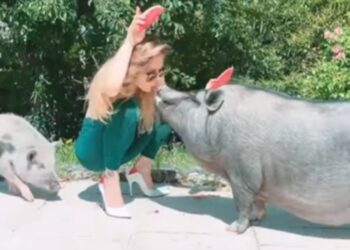 Naike Rivelli mangia insieme ai suoi maiali