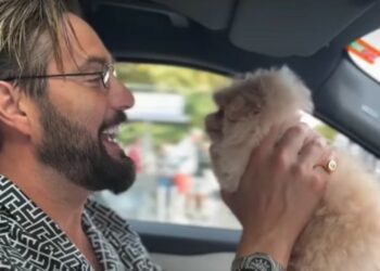 Alex Belli e Delia Duran adottano un nuovo dolcissimo cucciolo