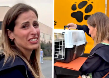 ''Mi viene da piangere'': Clio MakeUp va a prendere il gattino che ha salvato e si commuove