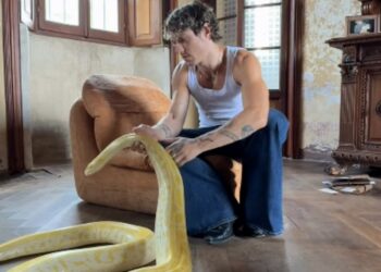 Irama con un boa gigantesco sul set  del nuovo videoclip