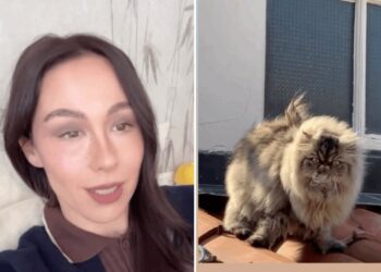 Aurora Ramazzotti è triste: il suo gatto non vuole più vivere con lei