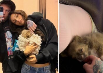 Fedez pubblica una rara immagine con la fidanzata Giulia Honegger e svela il pancino: sarà padre per la terza volta, è ufficiale